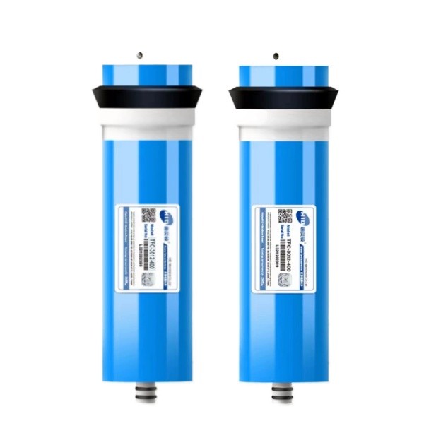 2 pz 400 gpd filtro ad osmosi  - Basin Mixer Cartridge recensione e prezzo
